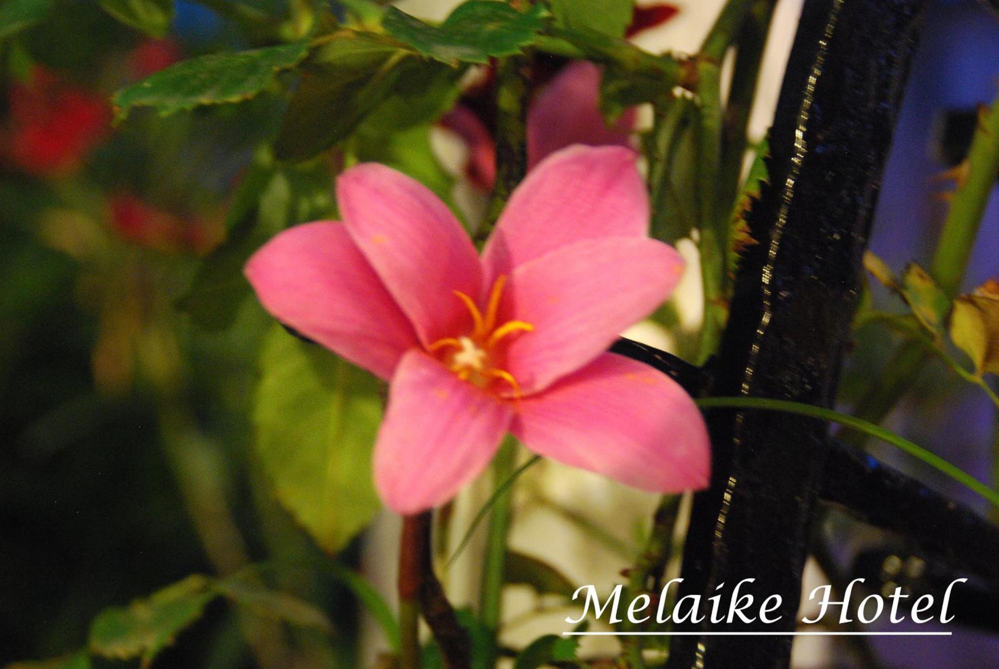 Melaike Hotel Foça Luaran gambar